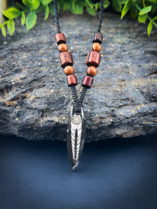 Orthoceras 400million year fossil