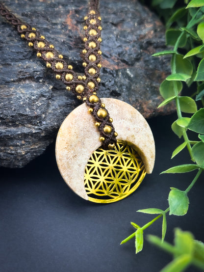 Coral Fossil Crescent Moon Flower of Life