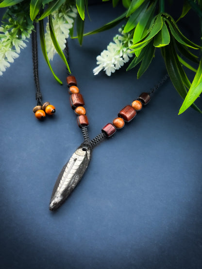 Orthoceras 400million year fossil